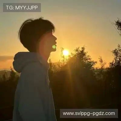 杨蕾凤