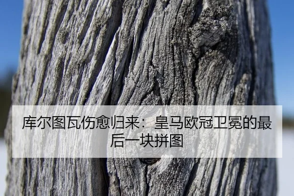 ku-er-tu-wa-shang-yu-gui-lai-huang-ma-ou-guan-wei-mian-de-zui-hou-yi-kuai-pin-tu-2-535.jpg